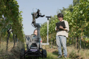 In a bid to revolutionise grape harvesting, Queen Mary University of London (QMUL) researchers are piloting new robotic grape pickers in collaboration with Extend Robotics and the Saffron Grange vineyard. The project focuses on developing a robotic system equipped with advanced sensors and AI, allowing it to detect ripeness and gently pick grapes with pressure-sensitive ‘fingers’. This innovation aims to meet the high standards needed for grapes destined for fine wine, which are currently valued at approximately £5,000 ($6,480) per tonne.Funded by Department for Environment, Food and Rural Affairs (Defra), the Innovate UK collaborative research and development project aims to elevate wine quality by ensuring optimal harvest timing with high-tech Robotics and AI technologies, including:A precision manipulation and perception system, using AI-based optical imaging and analysis technology.A virtual reality interface to enable growers to harvest more efficiently and accurately.Remote monitoring of crop health for better quality and higher yields.Handling delicate fruitLeading this transforming endeavour are QMUL’s researcher, Professor Lei Su, and Senior Lecturer in Robotics, Dr Ketao Zhang. Their combined expertise in robotics, remote sensing and spectral analysis will be instrumental in developing AI-powered robots capable of handling delicate fruit, like grapes, which have traditionally been too fragile for mechanised picking. QMUL’s research is a step toward the first commercial prototype – anticipated within two years – which could transform labour-intensive vineyard operations. Dr Ketao Zhang expressed the project’s ambition. “Our team is experimenting with electronic skin that allows robots to ‘feel’ pressure, mimicking the gentleness of a human hand. With the enabling technology, the engineered robotic manipulator can pick grapes more efficiently and accurately.”Professor Lei Su: “With AI-integrated spectral analysis, we can go beyond visible light into infrared and ultraviolet ranges. This allows us to apply this precise technology to grapes, helping vineyards identify peak ripeness and assess vine health, such as detecting early signs of disease.”