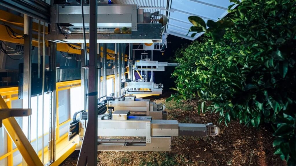 Meet the farm robot that picks citrus fruit