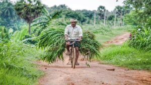 Agritech startup Arya.ag raises $19.8 million from US Development Finance Corporation