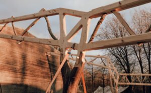 AA School of Architecture students construct timber ‘Tree and Truss’ structure using robotic fabrication