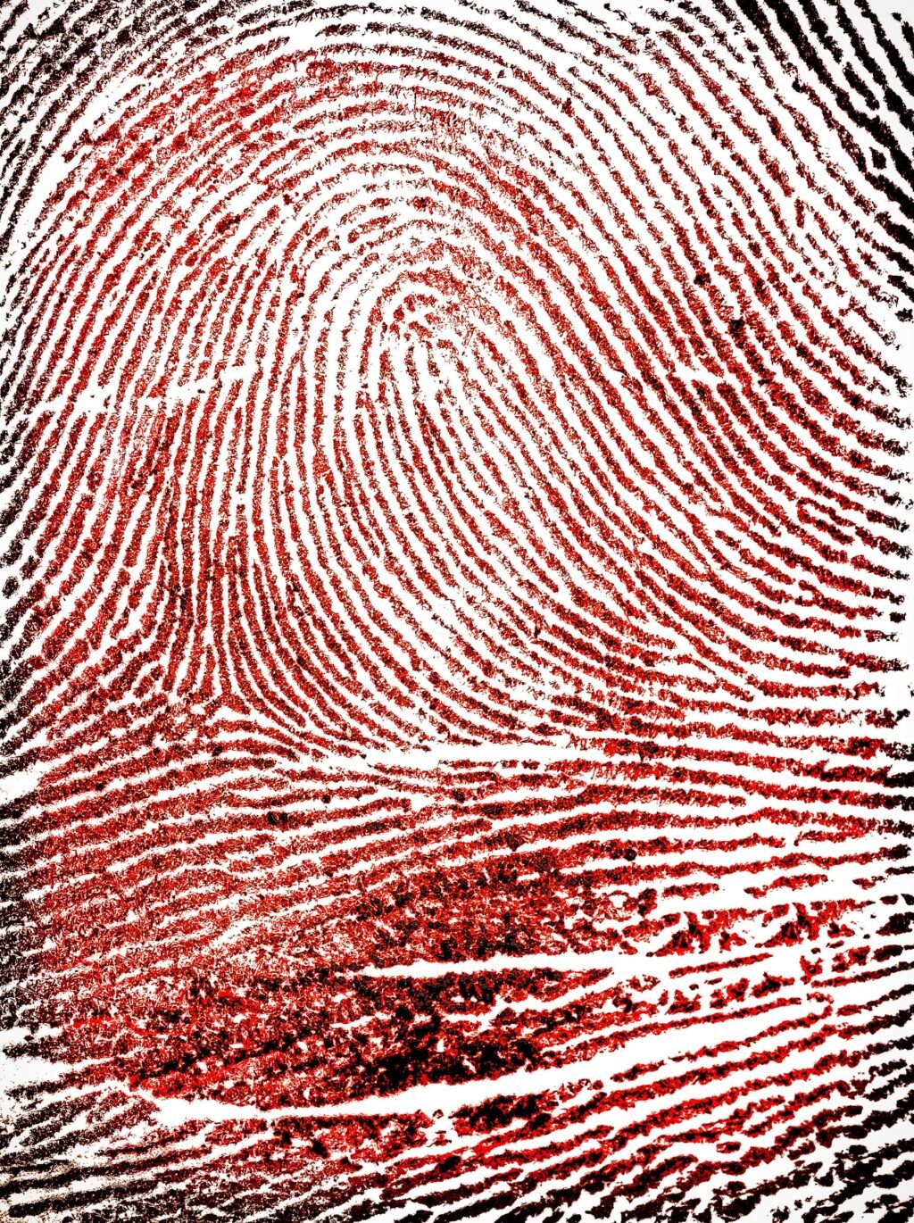 This AI Tool Helped Convict People of Murder. Then Someone Took a Closer Look