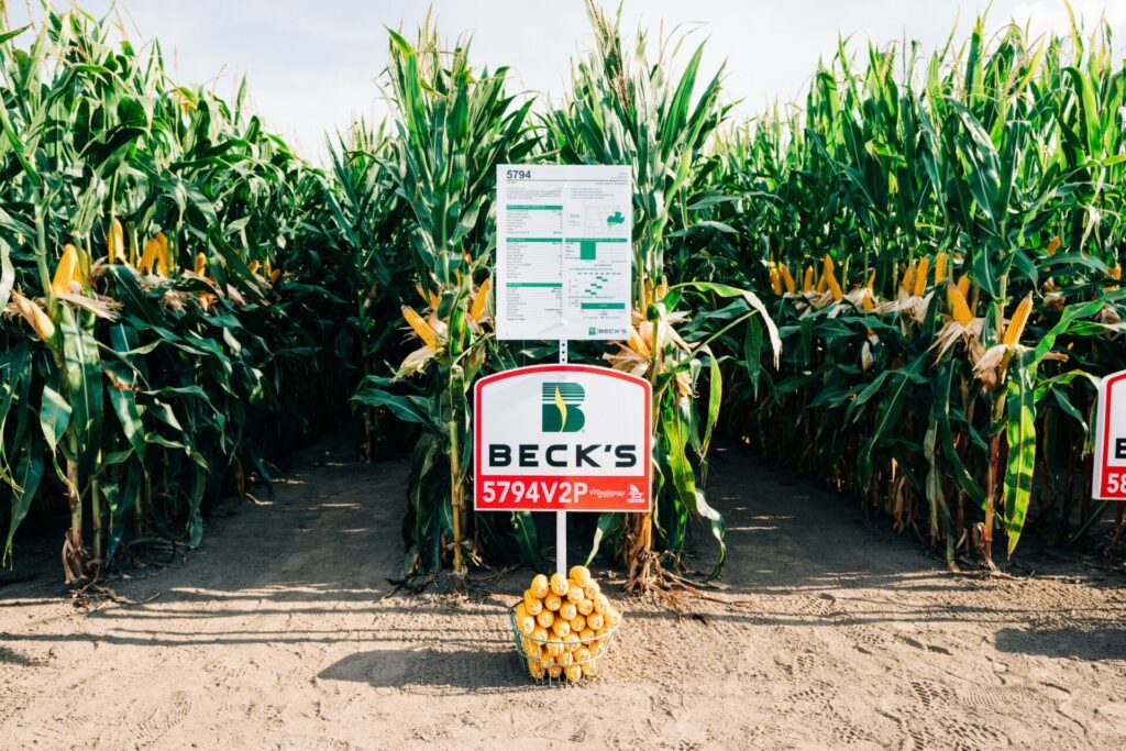 Are agtech stakeholders actually collaborating? FIRA USA 2024 attendees weigh in
