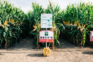Are agtech stakeholders actually collaborating? FIRA USA 2024 attendees weigh in