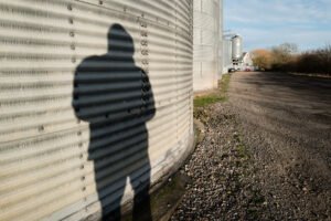More than half of all cyber attacks in agrifood are ransomware, ‘any size’ business at risk, says threat intelligence group