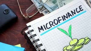 Outlook 2025: Will the MFI pain continue into the new year?