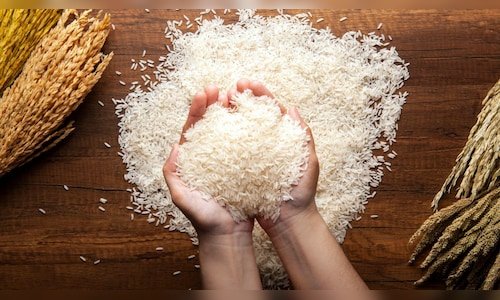 The 55th GST Council meeting, chaired by Finance Minister Nirmala Sitharaman, made some announcements aimed at easing the burden on exporters. Company Value Change %Change In order to support the export sector, the GST Council has reduced the compensation cess on supplies to merchant exporters to 0.1%. This reduction is expected to provide exporters with […]