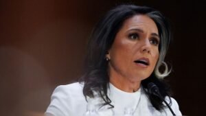 US intel chief Tulsi Gabbard to visit India as part of Indo-Pacific tour